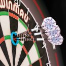 Red Dragon Gerwyn Price Iceman Practice Rings - tréninkové kroužky na sisalový terč