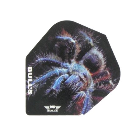 Bull's NL Letky Animal 100 - Tarantula - No6 - BU-50701