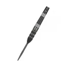 Target - darts Šípky Steel Raymond van Barneveld - 95% Echo - Swiss Point - 23g