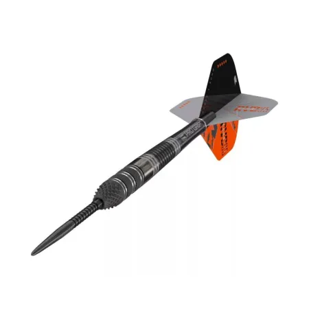 Target - darts Šípky Steel Raymond van Barneveld - 95% Echo - Swiss Point - 23g