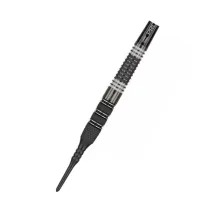 Target - darts Šípky Raymond van Barneveld - 95% Echo - 20g