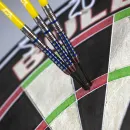 Bull's NL Šípky Steel Ricky Evans - 22g