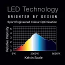 Winmau Plasma Ice Dartboard Surround Light & Pro-Line Original Surround Bundle - osvetlenie sisalového terča so surroundem