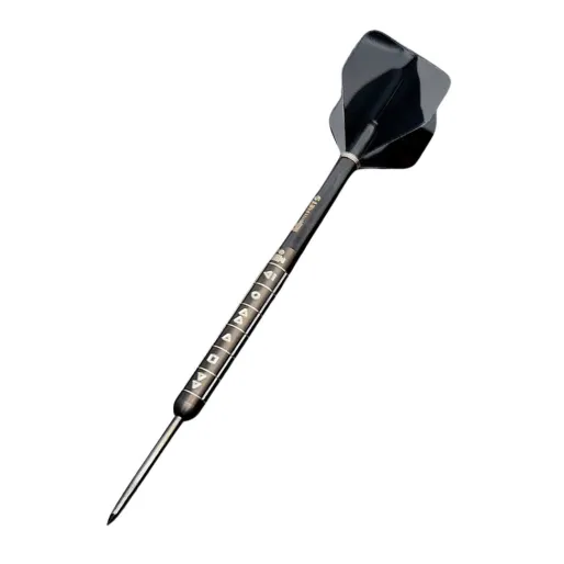 Reel Darts Šípky Steel Rewind - 22g