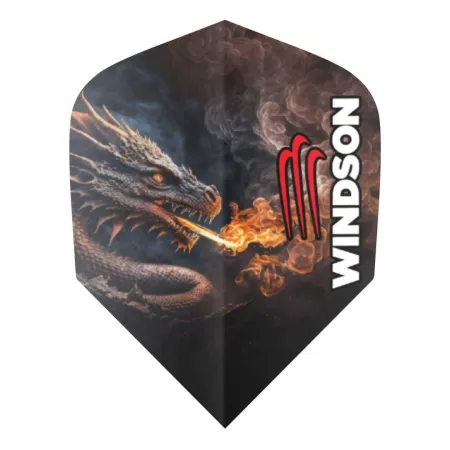 Windson Šípky Steel Kingdom - 21g