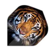 Designa Letky Motley Collection - Tiger F4369