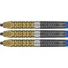 Target - darts Šípky Steel Raymond van Barneveld - G6 - Swiss Point - 21g