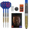 Target - darts Šípky Steel Raymond van Barneveld - G6 - Swiss Point - 21g