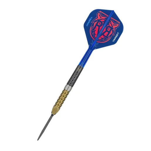 Target - darts Šípky Steel Raymond van Barneveld - G6 - Swiss Point - 21g