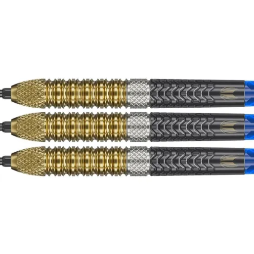 Target - darts Šípky Steel Raymond van Barneveld - G6 - Swiss Point - 21g