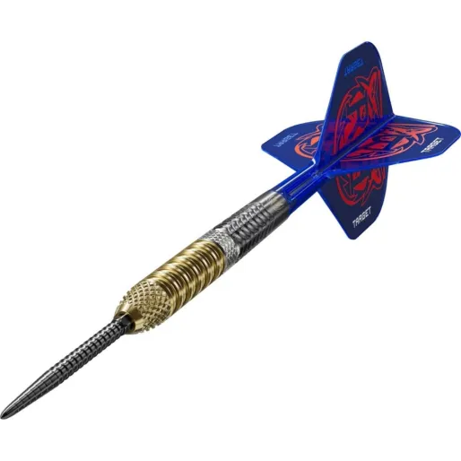 Target - darts Šípky Steel Raymond van Barneveld - G6 - Swiss Point - 21g