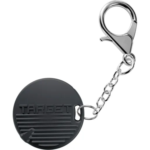 Target - darts Šípky Steel Raymond van Barneveld - G6 - Swiss Point - 21g