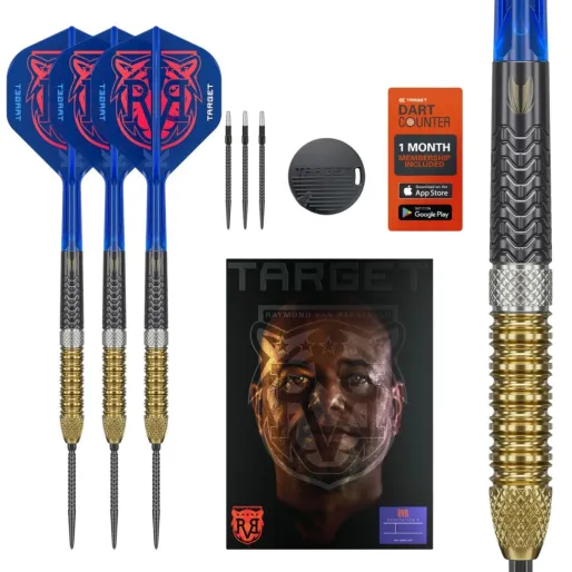 Target - darts Šípky Steel Raymond van Barneveld - G6 - Swiss Point - 21g