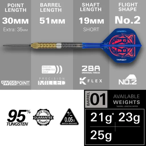 Target - darts Šípky Steel Raymond van Barneveld - G6 - Swiss Point - 21g