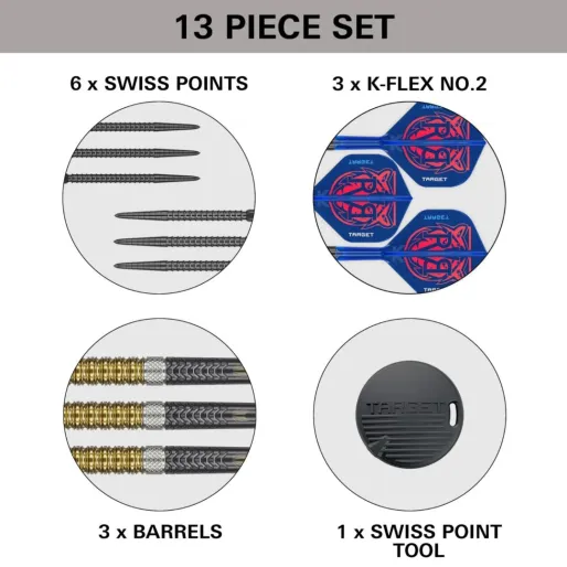 Target - darts Šípky Steel Raymond van Barneveld - G6 - Swiss Point - 21g