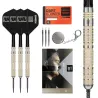 Target - darts Šípky Steel Dimitri van den Bergh - 95K - Swiss Point - 22g