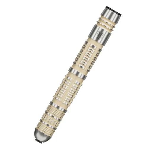 Target - darts Šípky Steel Dimitri van den Bergh - 95K - Swiss Point - 22g