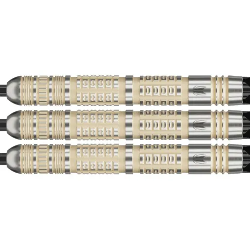 Target - darts Šípky Steel Dimitri van den Bergh - 95K - Swiss Point - 22g