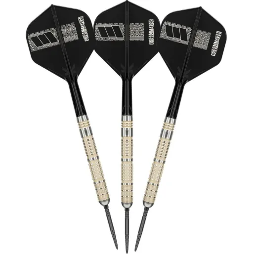 Target - darts Šípky Steel Dimitri van den Bergh - 95K - Swiss Point - 22g