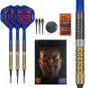 Target - darts Šípky Raymond van Barneveld - G6 - 20g