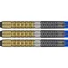 Target - darts Šípky Raymond van Barneveld - G6 - 20g