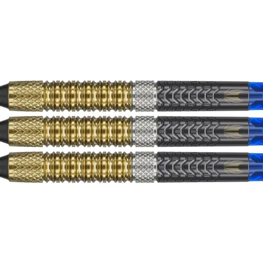 Target - darts Šípky Raymond van Barneveld - G6 - 20g