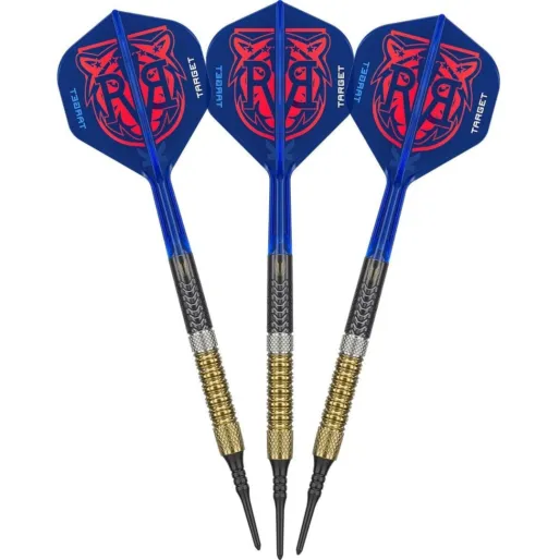 Target - darts Šípky Raymond van Barneveld - G6 - 20g