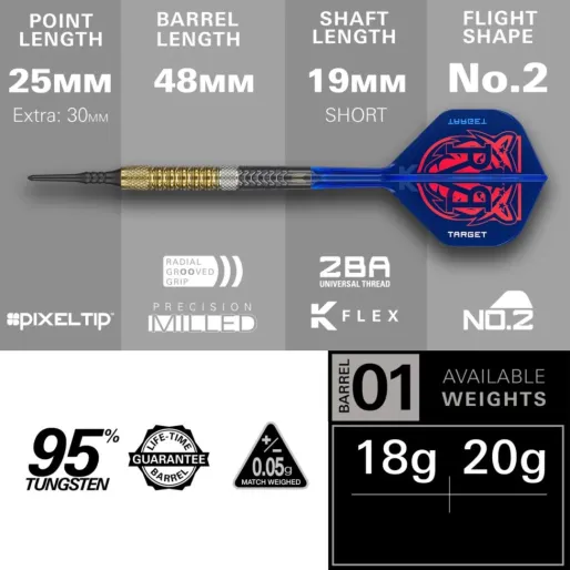 Target - darts Šípky Raymond van Barneveld - G6 - 20g