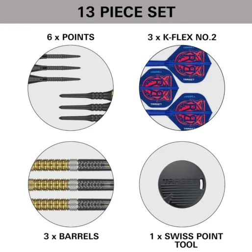 Target - darts Šípky Raymond van Barneveld - G6 - 20g