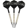 Target - darts Šípky Dimitri van den Bergh - 95K - 18g