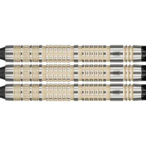 Target - darts Šípky Dimitri van den Bergh - 95K - 18g