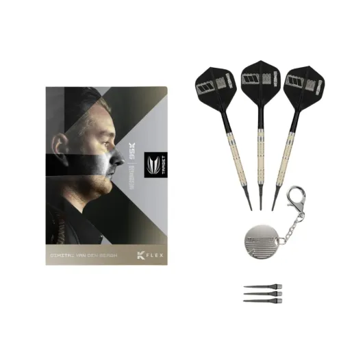Target - darts Šípky Dimitri van den Bergh - 95K - 18g