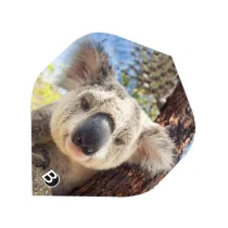 Bull's Letky Motex 52222